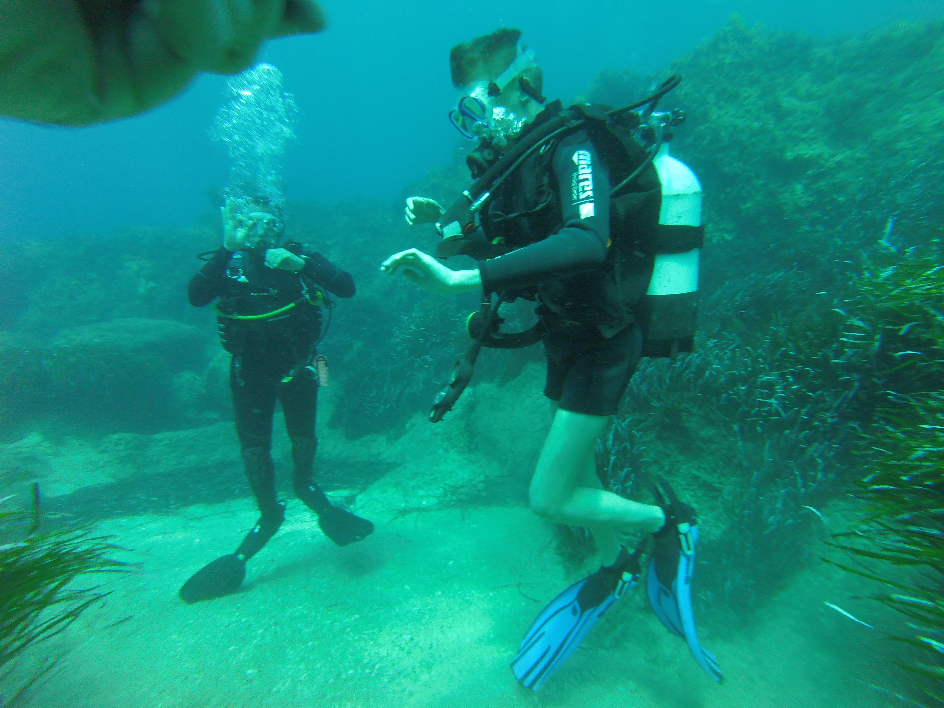 Diving Photography